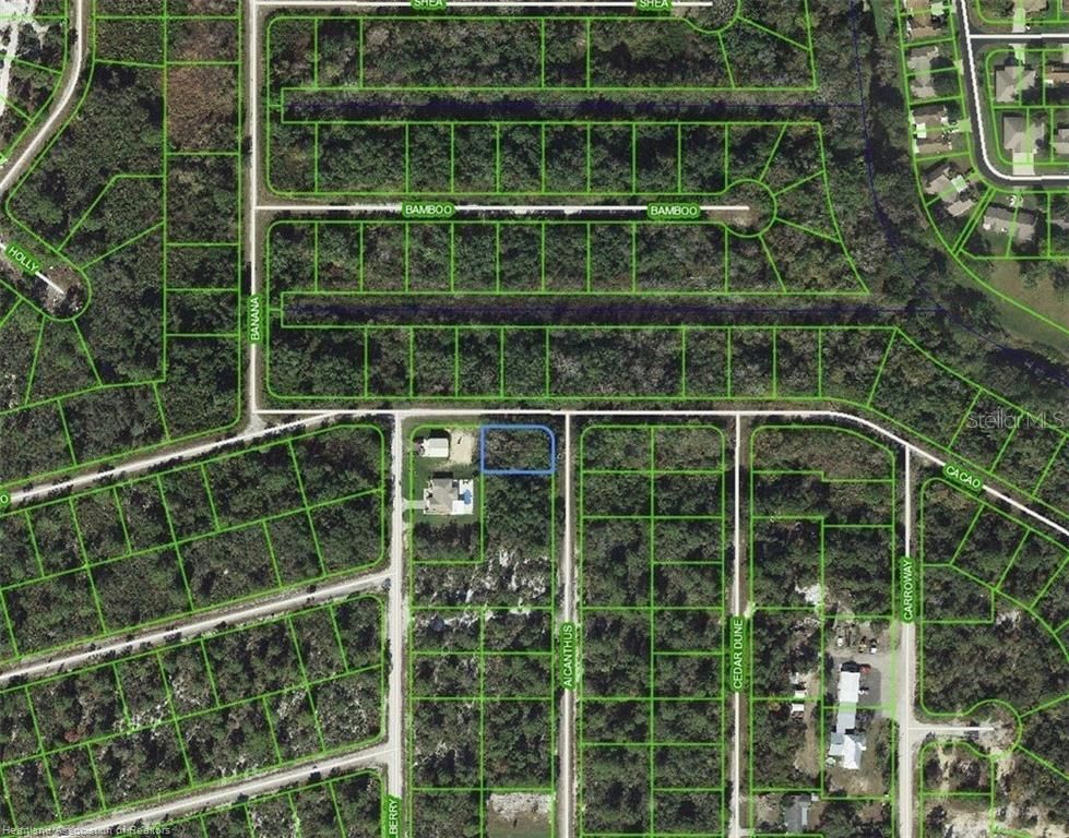 1218 AILANTHUS STREET, Lake Placid, FL 33852