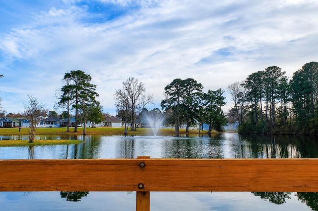 Lots 19 and 20 Bluebonnet, Livingston, TX 77351