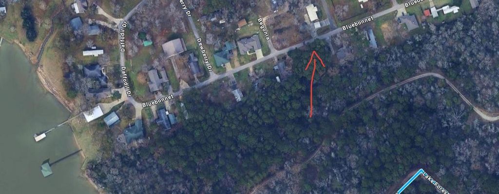 Lots 19 and 20 Bluebonnet, Livingston, TX 77351