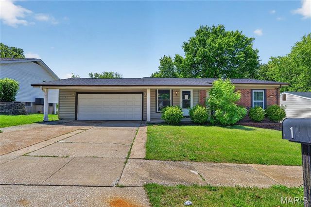 12109 La Padera Lane, St Louis, MO 63033