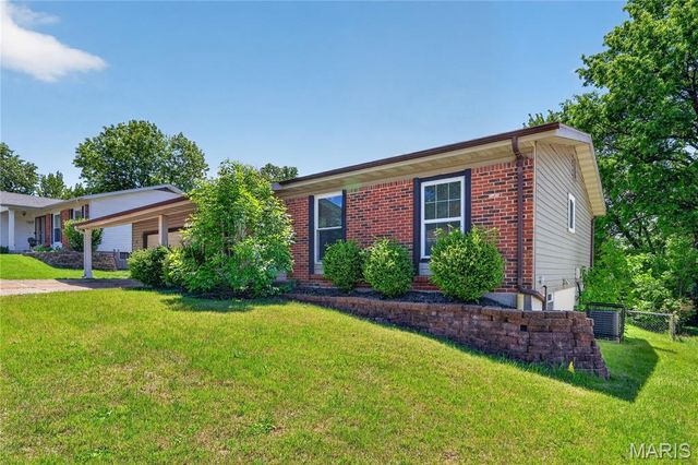12109 La Padera Lane, St Louis, MO 63033
