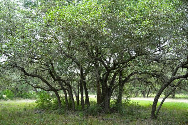 0 Shorebird Lane, Columbus, TX 78934