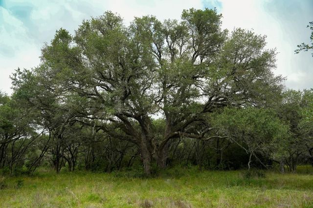 0 Shorebird Lane, Columbus, TX 78934