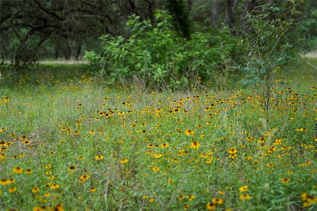 0 Shorebird Lane, Columbus, TX 78934