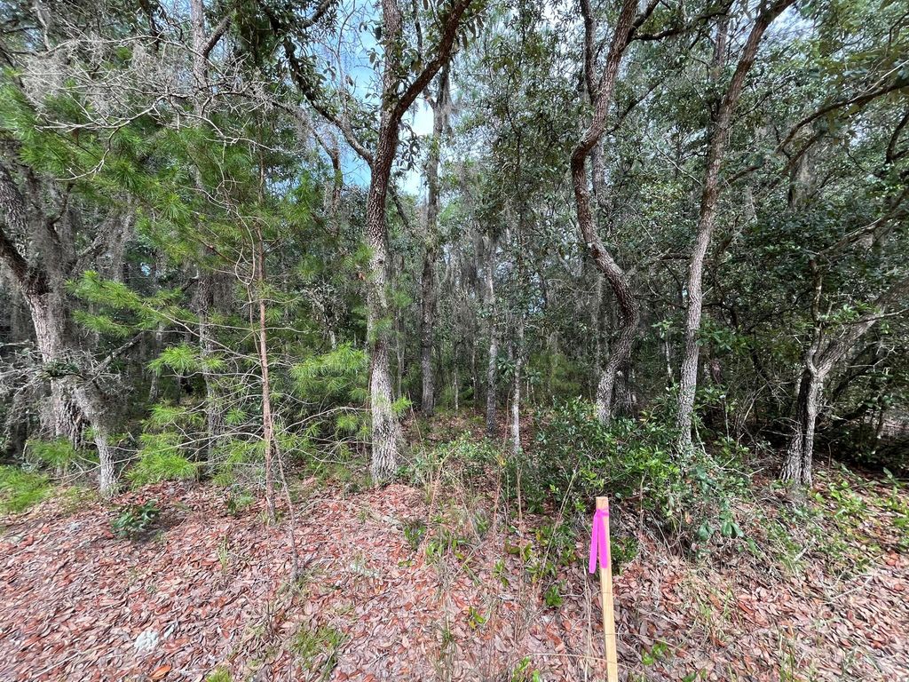304 Gloria Avenue, Interlachen, FL 32148