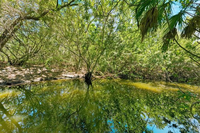 1360 SAGO COURT, Dunedin, FL 34698