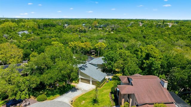 1360 SAGO COURT, Dunedin, FL 34698