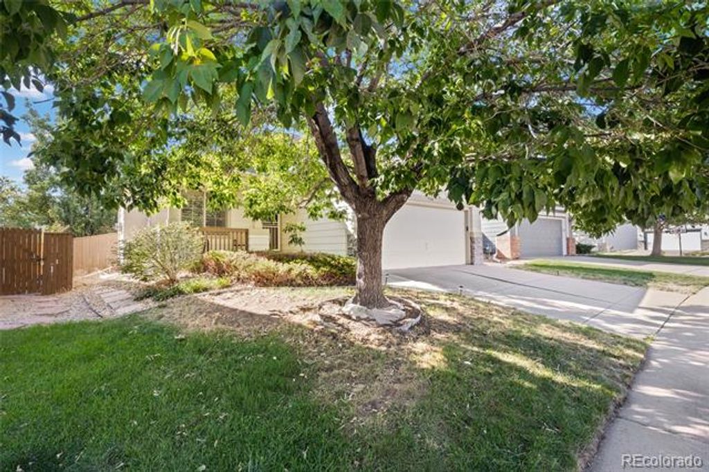 Image 31 of property listing at 9568 Wangaratta Court, Highlands Ranch, CO 80130