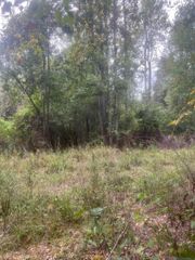 tract 1 Battle Rd, Ethel, LA 70730