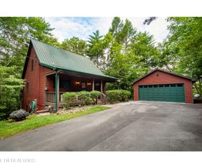 215 Tree Frog, Townsend, TN 37882
