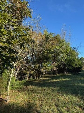 446 Patton School Road, South Pittsburg, TN 37380