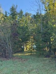 446 Patton School Road, South Pittsburg, TN 37380