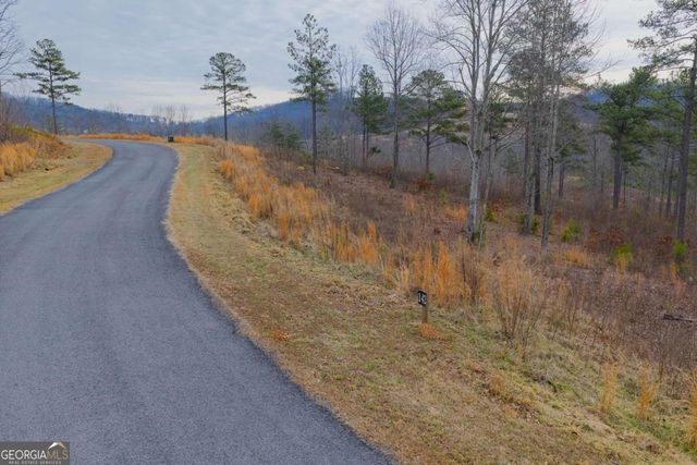 LOT 142 Twisted Oak Road, Talking Rock, GA 30175