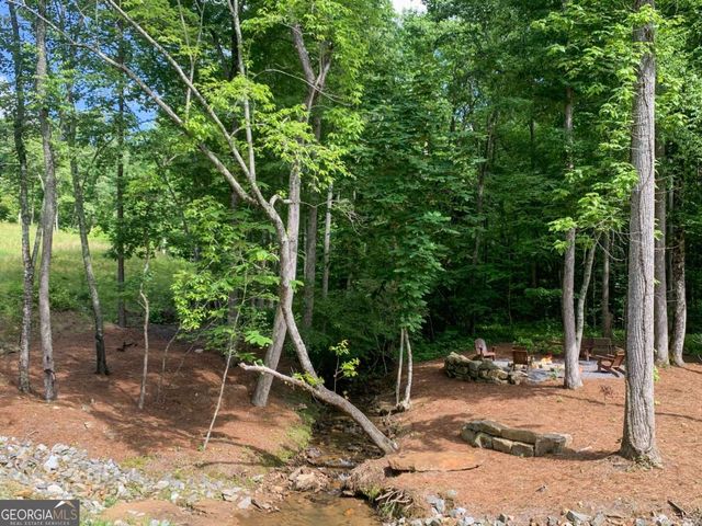 LOT 142 Twisted Oak Road, Talking Rock, GA 30175