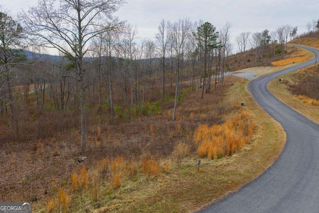 LOT 142 Twisted Oak Road, Talking Rock, GA 30175
