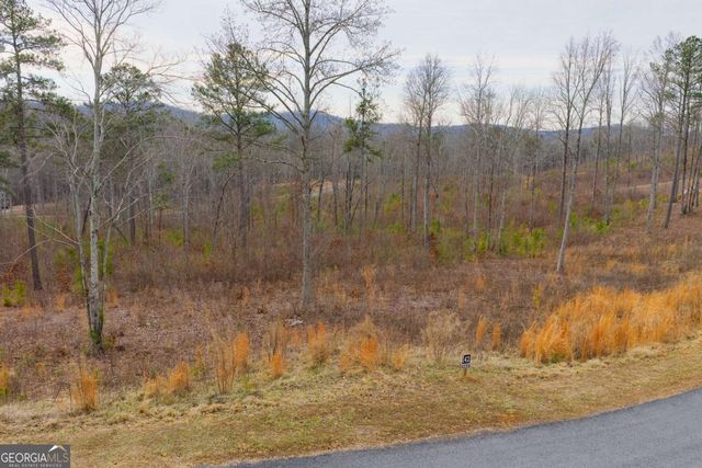 LOT 142 Twisted Oak Road, Talking Rock, GA 30175