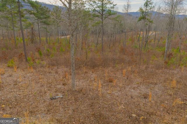 LOT 142 Twisted Oak Road, Talking Rock, GA 30175