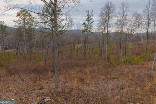 LOT 142 Twisted Oak Road, Talking Rock, GA 30175