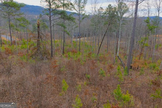 LOT 142 Twisted Oak Road, Talking Rock, GA 30175