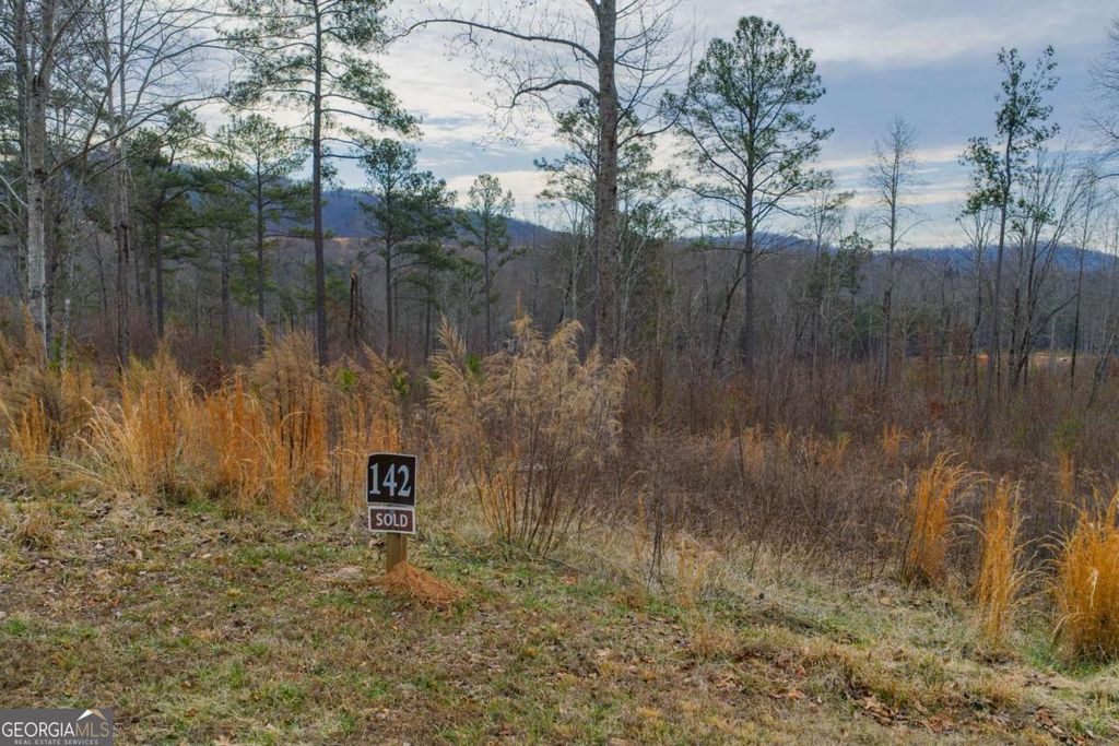 LOT 142 Twisted Oak Road, Talking Rock, GA 30175