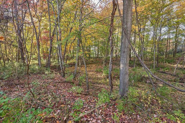 820 Alicia Kelton Drive, Delaware, OH 43015