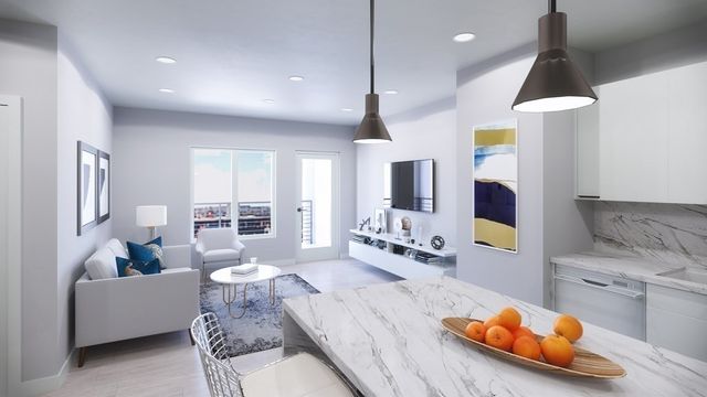 50 Leo M. Birmingham Parkway 306, Boston, MA 02135