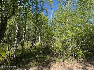 15377 W 7th Street, Wasilla, AK 99654