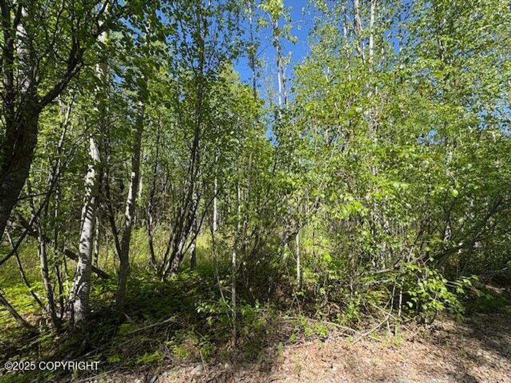 15377 W 7th Street, Wasilla, AK 99654