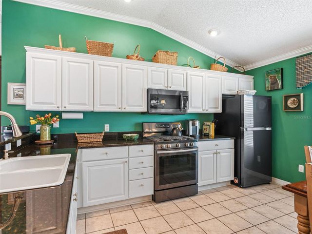 16829 SE 84TH COLERAIN CIRCLE, The Villages, FL 32162