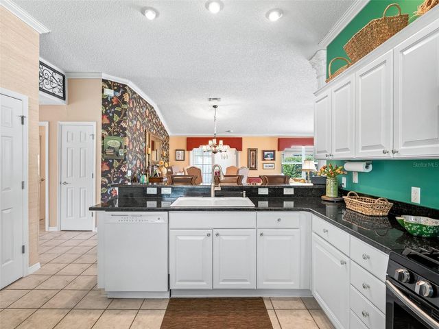 16829 SE 84TH COLERAIN CIRCLE, The Villages, FL 32162