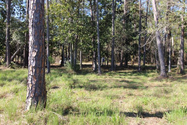 Lot 6 & 7 Alden Lane, Freeport, FL 32439