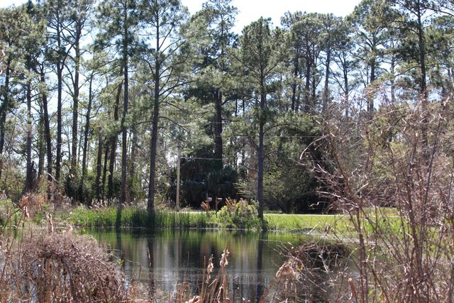 Lot 6 & 7 Alden Lane, Freeport, FL 32439