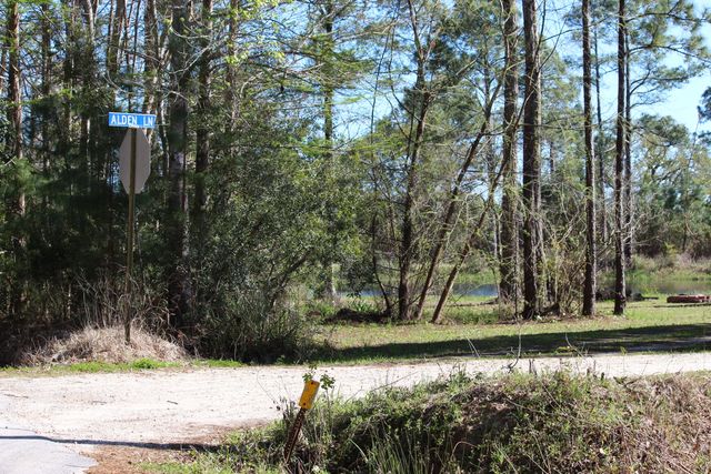 Lot 6 & 7 Alden Lane, Freeport, FL 32439