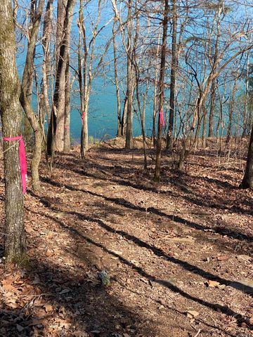 349 The Bluffs Drive, Edgemont, AR 72044