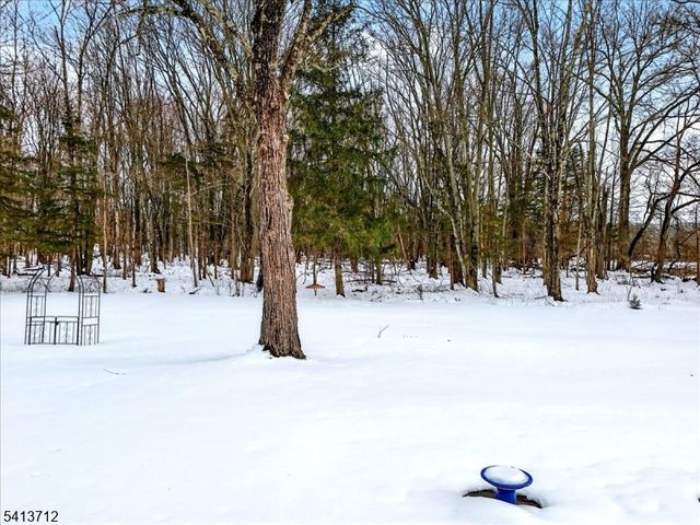 11 Milltown Rd, Kingwood Twp., NJ 08559