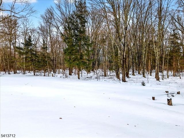 11 Milltown Rd, Kingwood Twp., NJ 08559