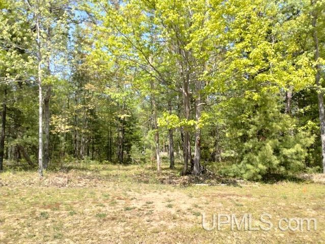 10494 Breezy R.22 Lane, Rapid River, MI 49878