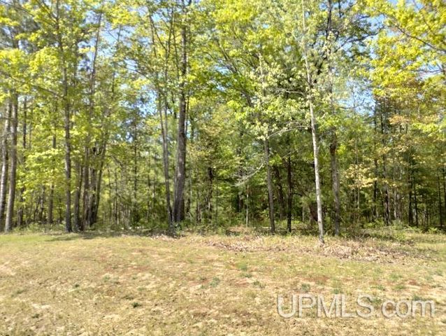 10494 Breezy R.22 Lane, Rapid River, MI 49878