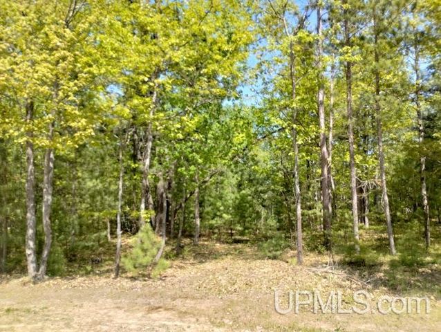 10494 Breezy R.22 Lane, Rapid River, MI 49878