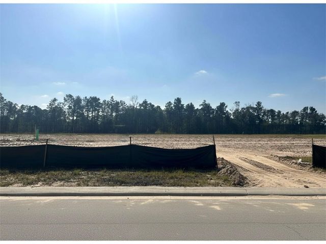 7918 Coastal Prairie Drive, Porter, TX 77365