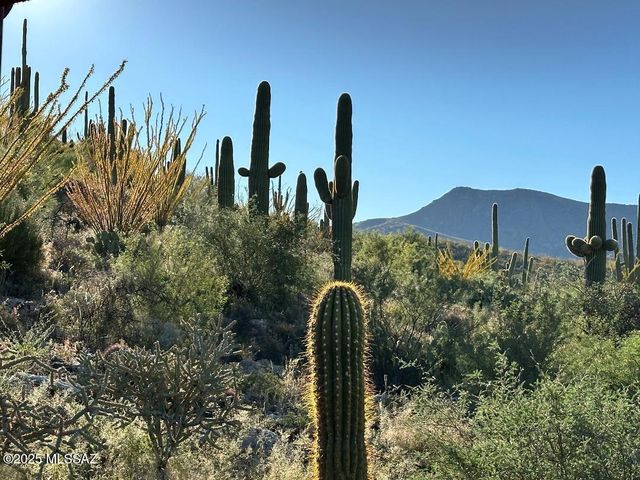 8491 S Pistol Hill Road, Vail, AZ 85641