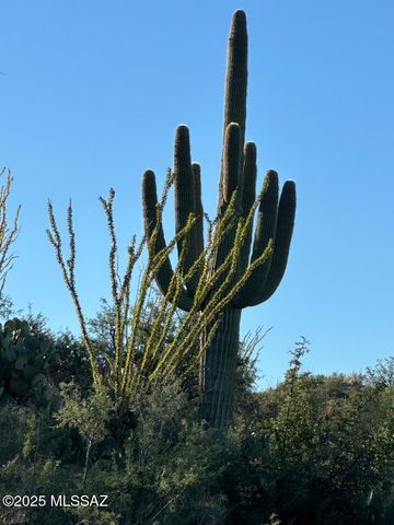 8491 S Pistol Hill Road, Vail, AZ 85641