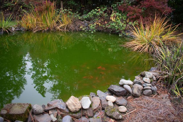 12370 Lower River Road, Grants Pass, OR 97526