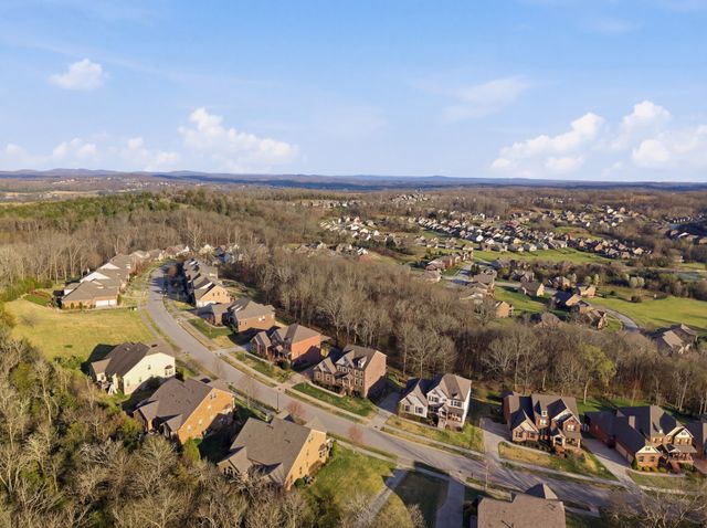 6772 Falls Ridge Ln, College Grove, TN 37046