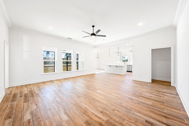 66 Splendor Run, Freeport, FL 32439