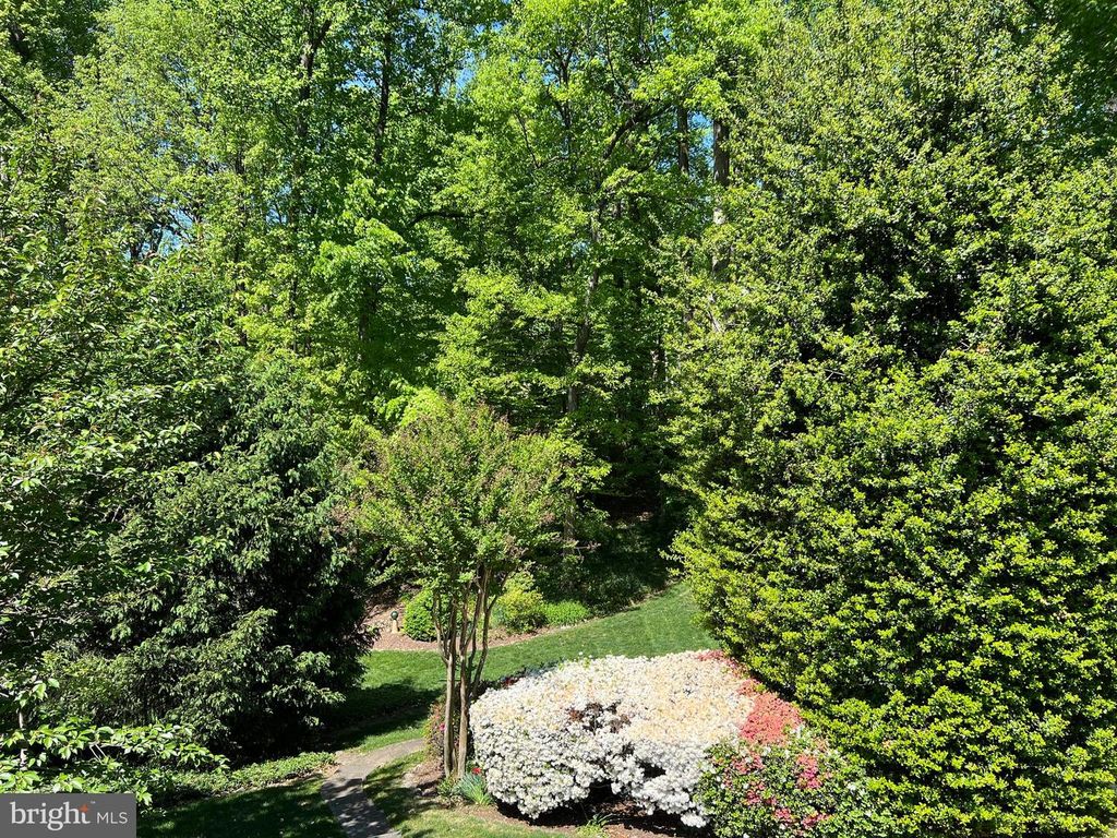 Image 48 of property listing at 6907 WILSON LN, Bethesda, MD 20817