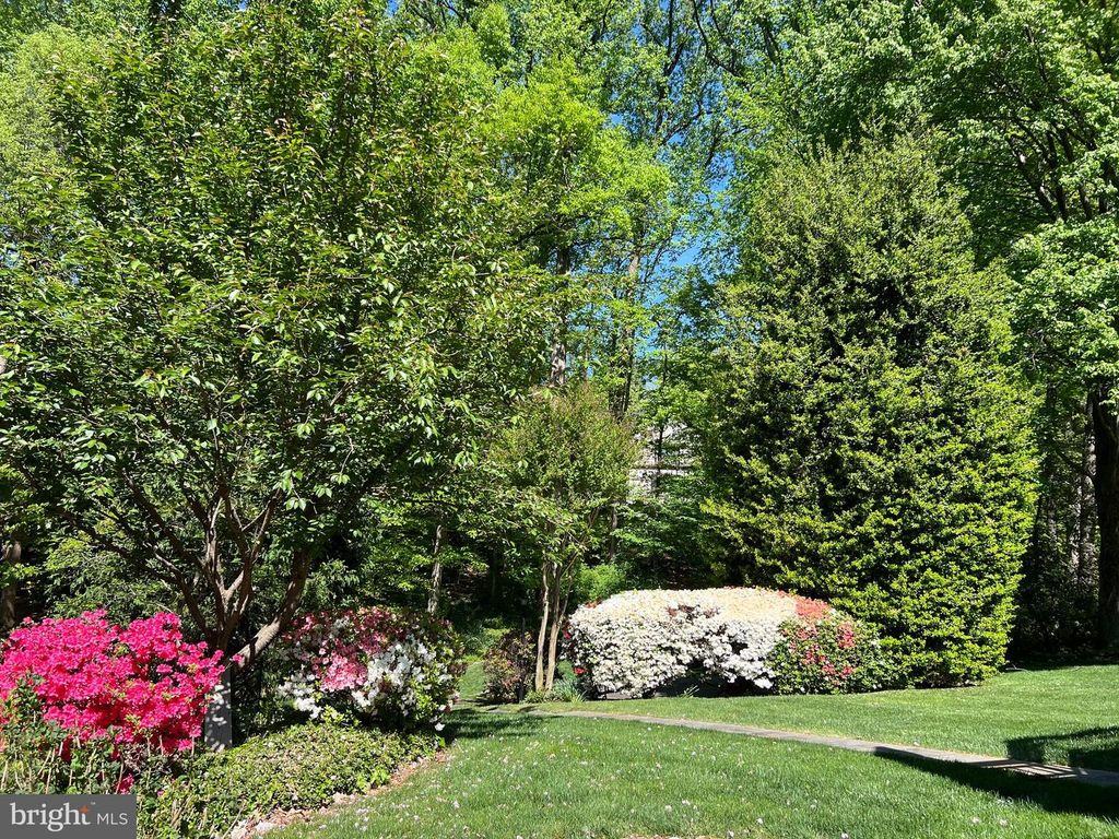 Image 53 of property listing at 6907 WILSON LN, Bethesda, MD 20817