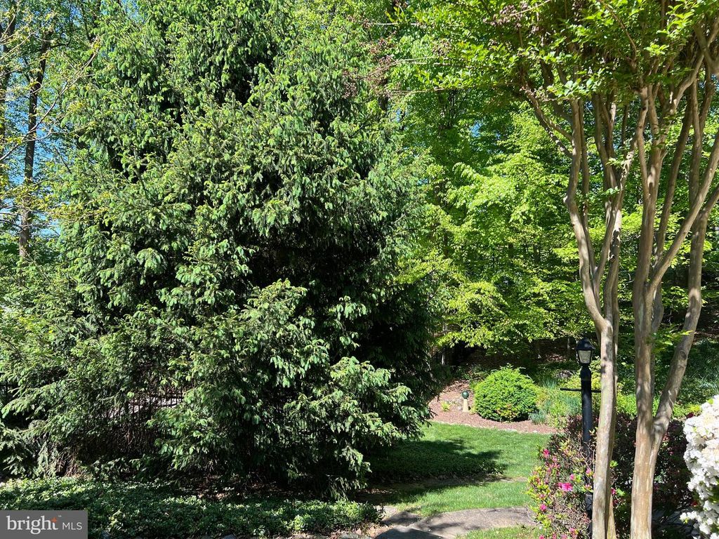 Image 54 of property listing at 6907 WILSON LN, Bethesda, MD 20817