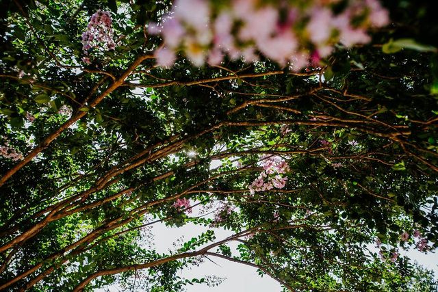 204 E Lakeshore DR, Dripping Springs, TX 78620