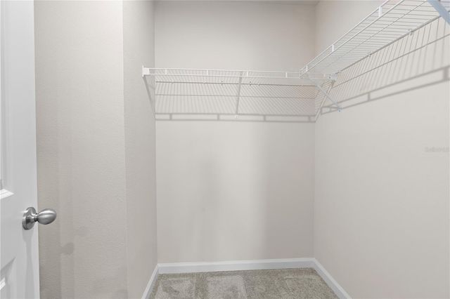 12003 GRIZZLY LANE, New Port Richey, FL 34654